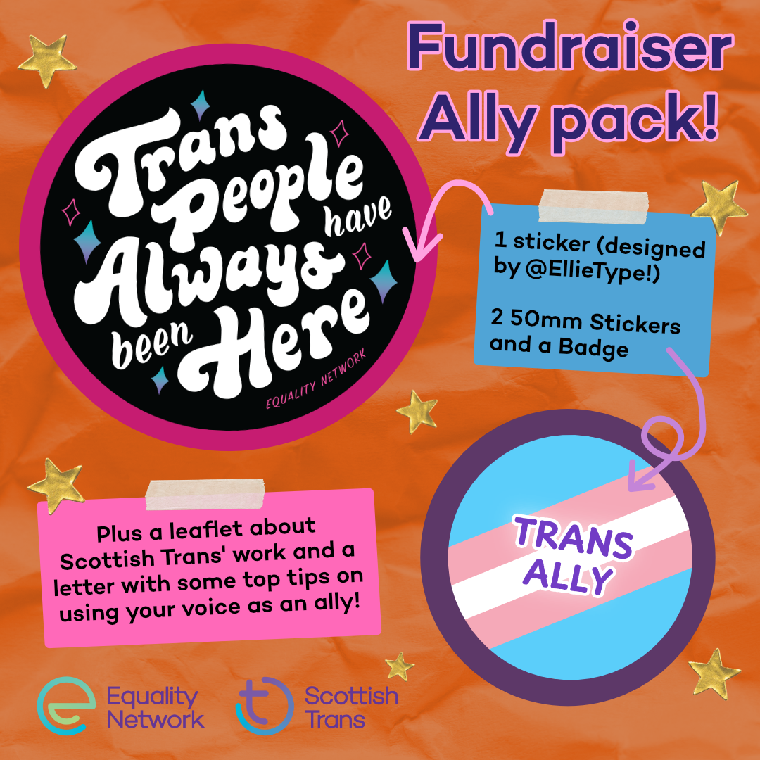 Fundraiser Ally pack! 1 sticker that says "Trans People Have Always Been here", designed by @EllieType, 2 50mm stickers and a badge that say "Trans Ally", Plus a leaflet about Scottish Trans' work and a letter with some top tips on using your voice as an ally!